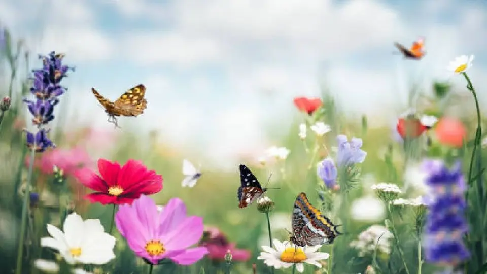 ¡Hoy entra el equinoccio de primavera de 2024! Te decimos a qué hora verlo
