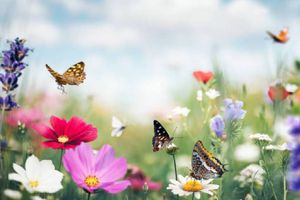 ¡Hoy entra el equinoccio de primavera de 2024! Te decimos a qué hora verlo