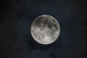 Eclipse lunar de marzo de 2024: ¿Dónde, a qué hora y cómo verlo?