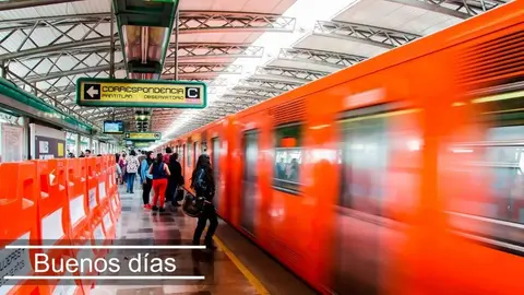 Rescatan perritos en el Metro, por lo que se tuvo que cortar la energía en las vías