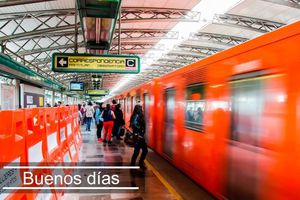 Rescatan perritos en el Metro, por lo que se tuvo que cortar la energía en las vías