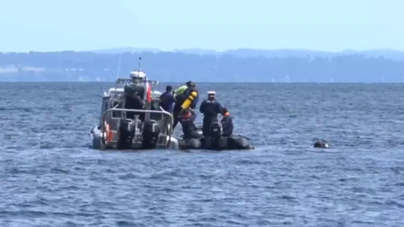 Rescatan helicóptero en el que murió Sebastián Piñera, expresidente de Chile