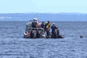 Rescatan helicóptero en el que murió Sebastián Piñera, expresidente de Chile