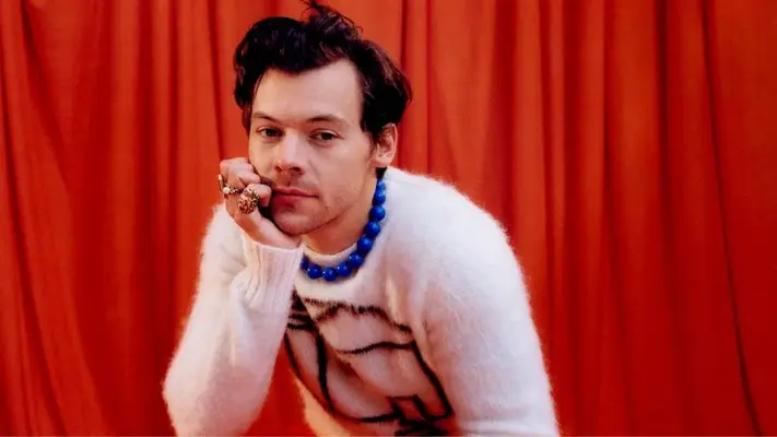 ¡Increíble! Una mujer brasileña ha sido condenada a 14 semanas de prisión por acosar a Harry Styles