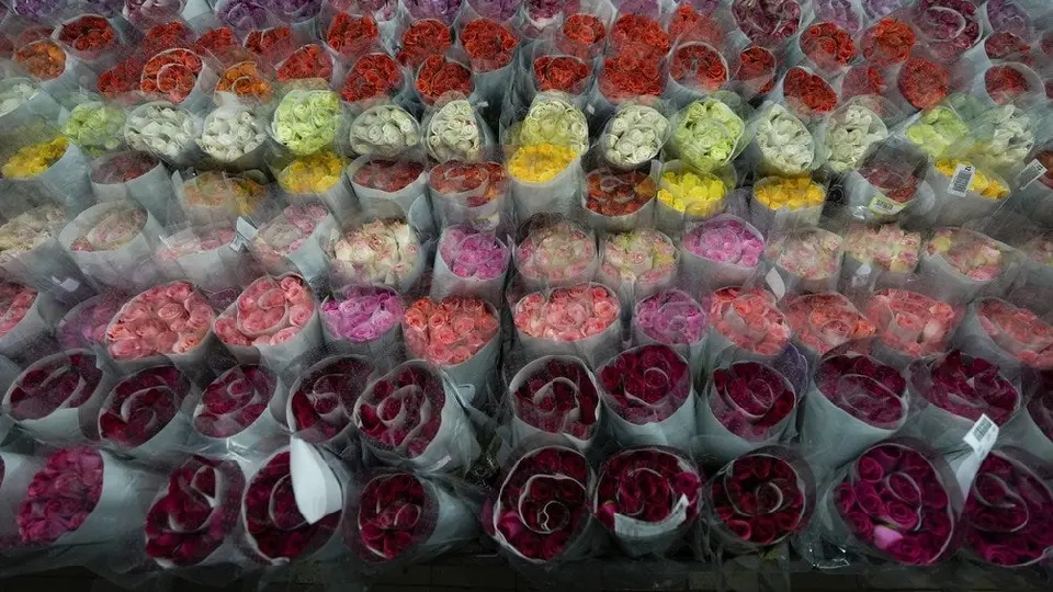 En San Valentín se espera una importante derrama económica mayor a los 5 mil millones de pesos