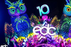 ¿Habrá EDC el próximo año en México? Esto es lo que sabemos