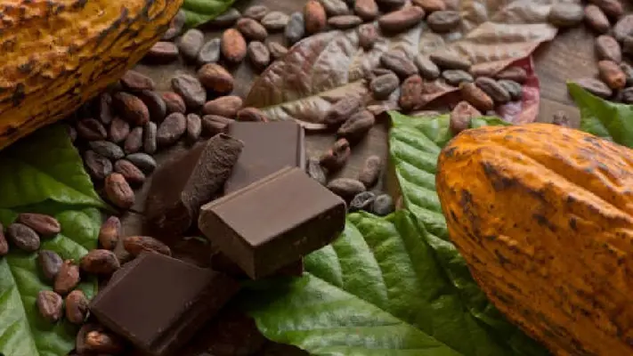 Precio del cacao se "dispara" un 125%: ¿Por qué subió de precio?