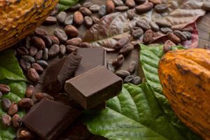 Precio del cacao se "dispara" un 125%: ¿Por qué subió de precio?