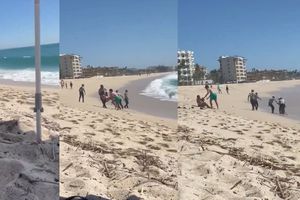 ¡OMG! Dos turistas estadounidenses fueron rescatados del fuerte oleaje en Baja California Sur