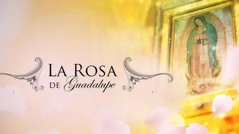 La Rosa de Guadalupe festeja sus 17 años ininterrumpidos al aire