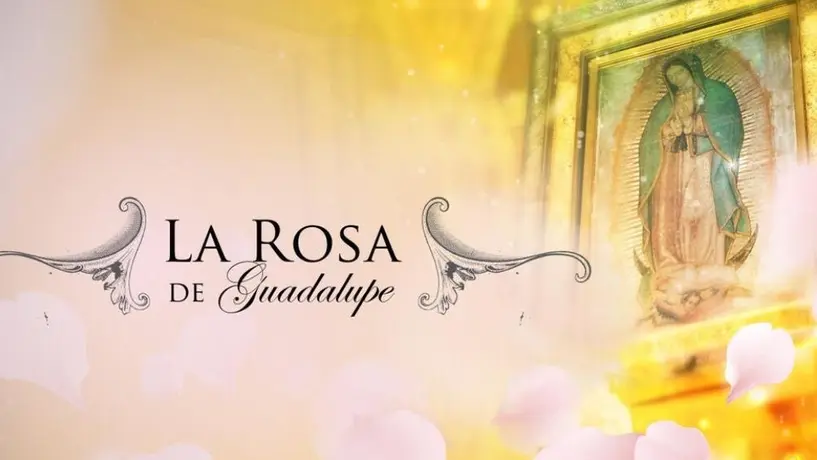 La Rosa de Guadalupe festeja sus 17 años ininterrumpidos al aire