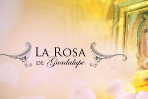 La Rosa de Guadalupe festeja sus 17 años ininterrumpidos al aire