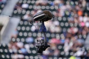 ¡Invitadas inesperadas! Partido entre Carlos Alcaraz y Alexander Zverev se suspendió por invasión de abejas