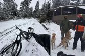 ¡Angelitos en la nieve! El Ajusco y el Desierto de los Leones se ven tapizados de blanco
