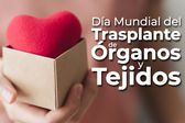 27 de febrero: Día Mundial del Transplante de Órganos y Tejidos