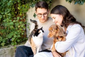 ¿Sabes cómo afectará el eclipse a tu mascota? Aquí te lo decimos