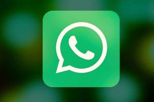 WhatsApp cambió de color y los usuarios expresaron su molestia en redes sociales
