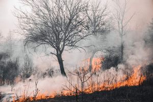 Nuevo León en riesgo de incendios forestales por fuertes ráfagas de viento