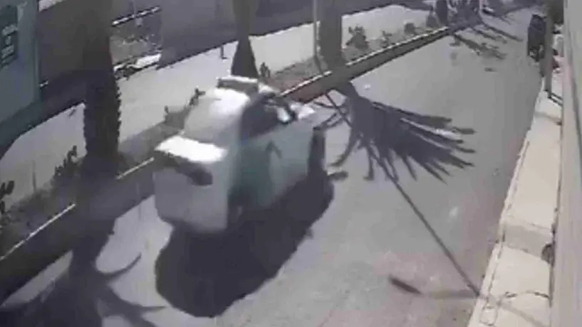 Sancionan a policía que atropelló y mató a perrito en Hidalgo; llega a acuerdo con la dueña