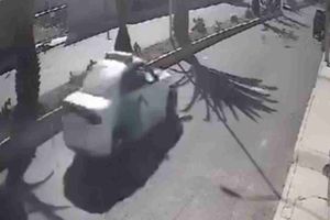 Sancionan a policía que atropelló y mató a perrito en Hidalgo; llega a acuerdo con la dueña