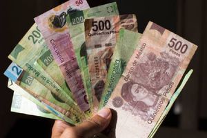 ¿Qué hacer si no me pagan utilidades? Aquí te decimos