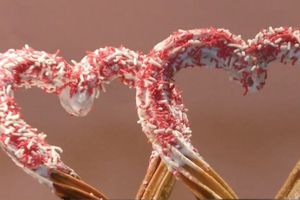 ¿Aún no tienes regalo para San Valentín? Los 'churrazones' son una opción