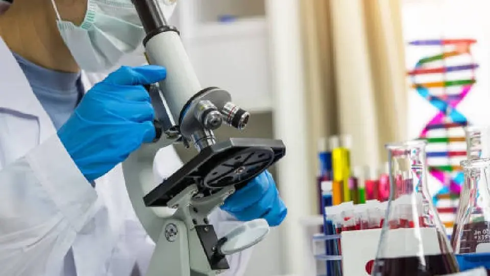 Científicos han creado una fórmula para eliminar el VIH de las células infectadas