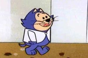 Así sería Benito Bodoque, si fuera un gato real