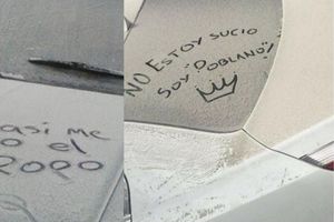 Ceniza volcánica: cómo quitarla de tu auto sin dañarlo