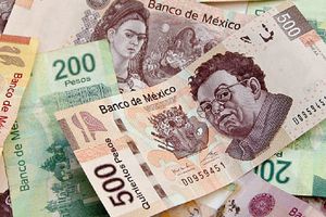 ¿Es posible sobrevivir con el salario mínimo en México en 2024?