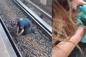 VIDEO: Rescatan en el Metro a pajarito para que no fuera arrollado