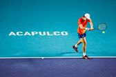 Alex de Miñaur disputará la Final del Abierto Mexicano de Tenis ante Casper Ruud