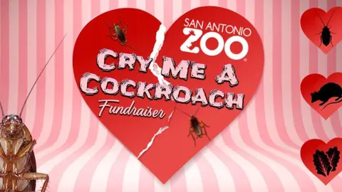 ¡Ponle el nombre de tu ex a una cucaracha! Te decimos cómo y dónde hacerlo