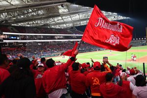 Diablos Rojos: Vencieron en duelo de volteretas y con bronca incluida a los Guerreros