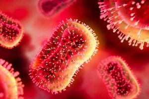 Reportan primer ser humano muerto a causa de la viruela de Alaska; se infectó tras el rasguño de un gato