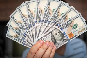 Precio del dólar, hoy 13 de marzo de 2024