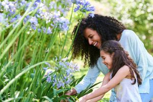 Primavera 2024 : ¿Qué es y cuándo inicia el equinoccio en México?