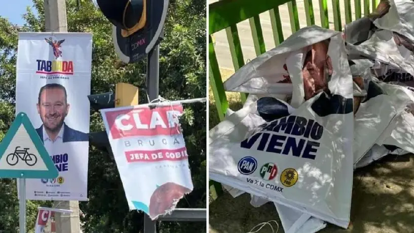 ¡Alto a la basura electoral! Greenpeace pide a candidatos hacer algo con su propaganda que daña el medio ambiente