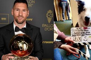 ¿Qué tiene que ver Messi, un perro y una película nominada a los Premios Oscar?