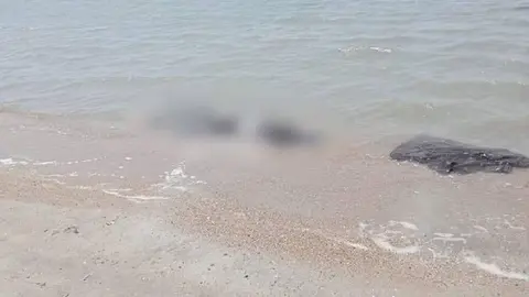 Hallan 8 cuerpos de migrantes asiáticos en playas de Oaxaca