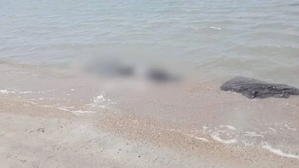 Hallan 8 cuerpos de migrantes asiáticos en playas de Oaxaca