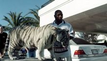 Mike Tyson: La razón por la cual tendrá que despedirse de sus Tigres de Bengala