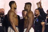 Francis Ngannou vs Anthony Joshua: Fecha, horario, lugar y todo lo que tienes que saber de la pelea