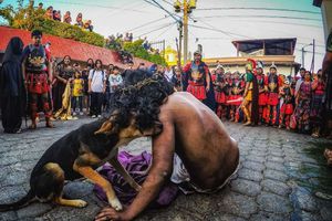 Perro consuela a Jesús en el viacrucis luego de recibir latigazos reales