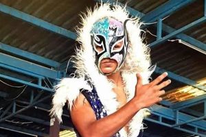 Muere el luchador Rey Destroyer, sufrió un accidente en el ring