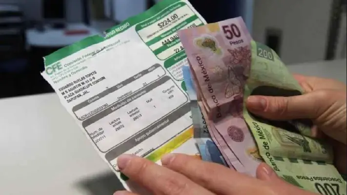 ¿CFE cobrará a mitad de precio el recibo de luz a adultos mayores? Esto sabemos