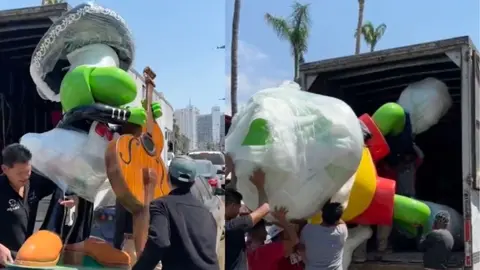 ¡Regresaron las ranas! Las icónicas mascotas de Acapulco están de vuelta