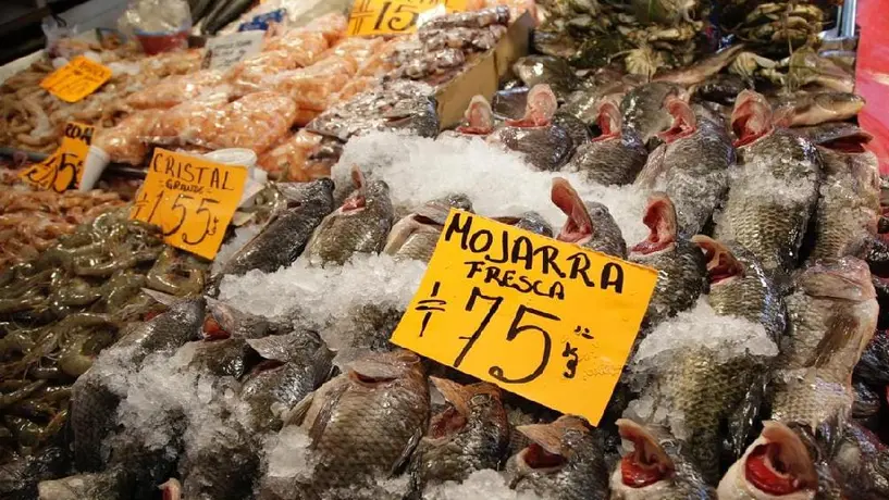 Arranca operativo sanitario por cuaresma: Te contamos cómo elegir mariscos frescos