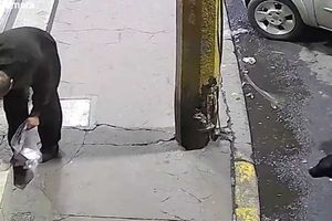 ¡Qué perro coraje! Hombre roba croquetas de lomito callejero en Texcoco
