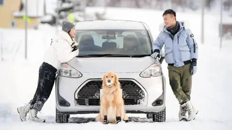 ¡Increíble! Una pareja llevó a su perrito de vacaciones a Japón y gastó más de medio millón de pesos